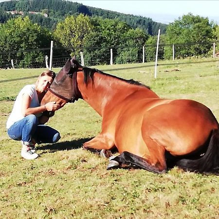 Chambre D'Hote Equestre Au Petit Bonheur Chateldon Екстериор снимка