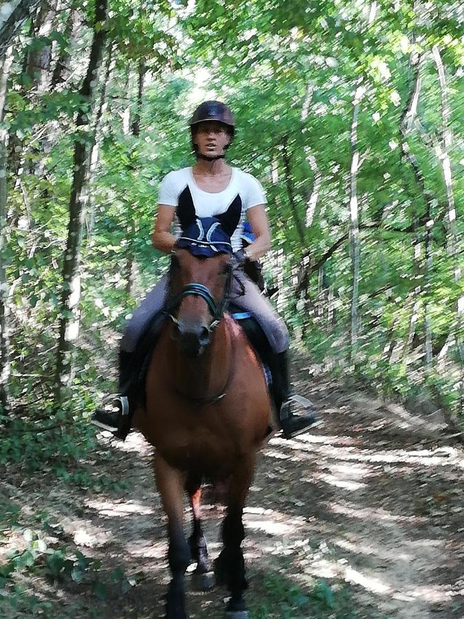 Chambre D'Hote Equestre Au Petit Bonheur Chateldon Екстериор снимка