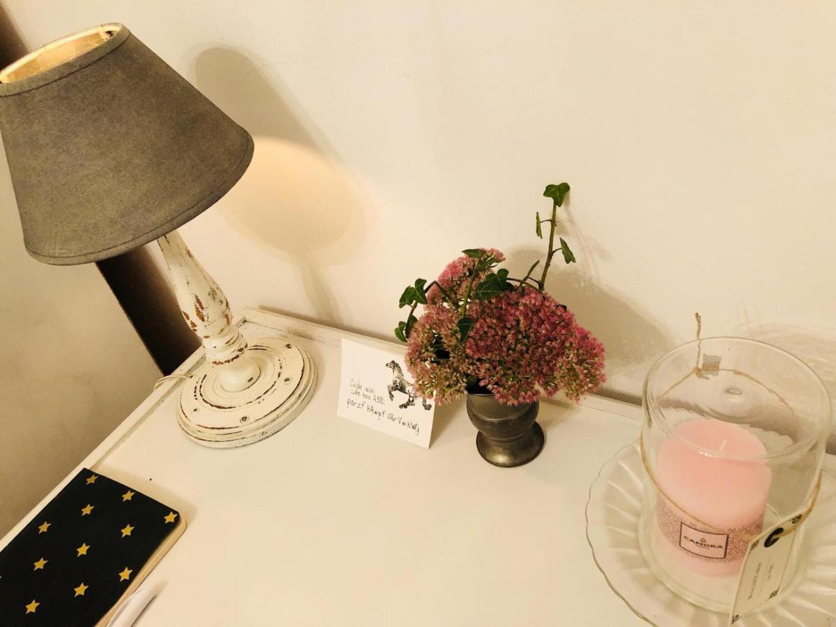 Chambre D'Hote Equestre Au Petit Bonheur Chateldon Екстериор снимка